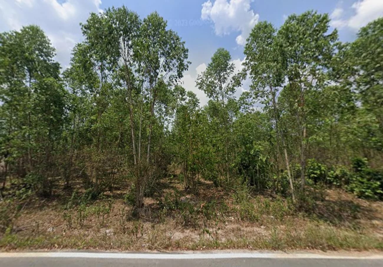 ขายที่ดินชลบุรี เนื้อที่ 25 ไร่ 1 งาน 84 ตร.ว. ใกล้โรงเรียนบ้านหนองไผ่แก้ว 1