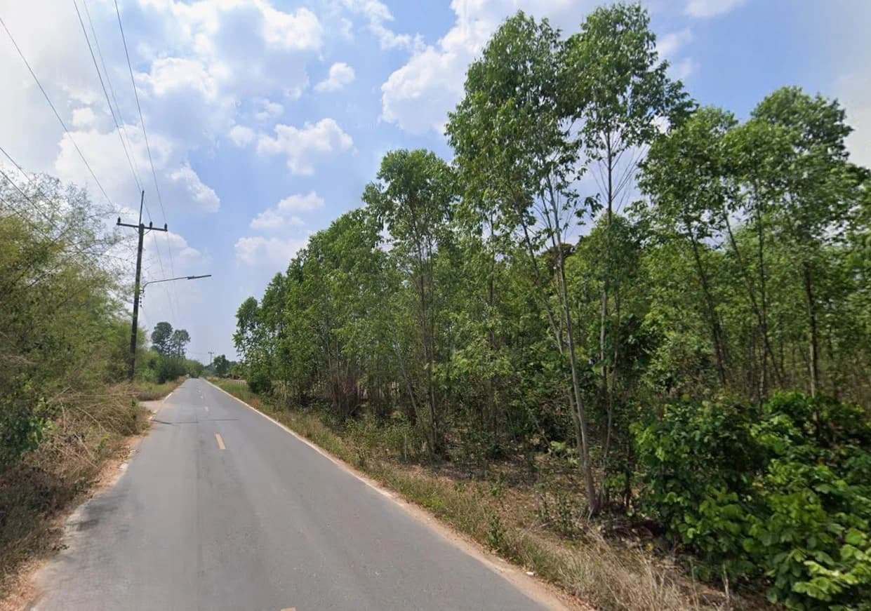 ขายที่ดินชลบุรี เนื้อที่ 25 ไร่ 1 งาน 84 ตร.ว. ใกล้โรงเรียนบ้านหนองไผ่แก้ว 2