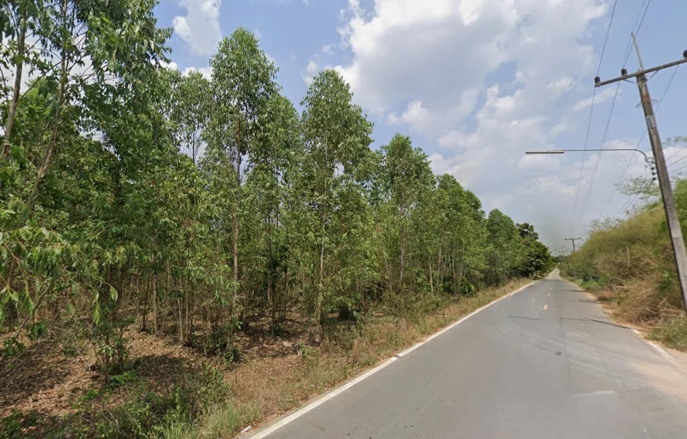 ขายที่ดินชลบุรี เนื้อที่ 25 ไร่ 1 งาน 84 ตร.ว. ใกล้โรงเรียนบ้านหนองไผ่แก้ว 3