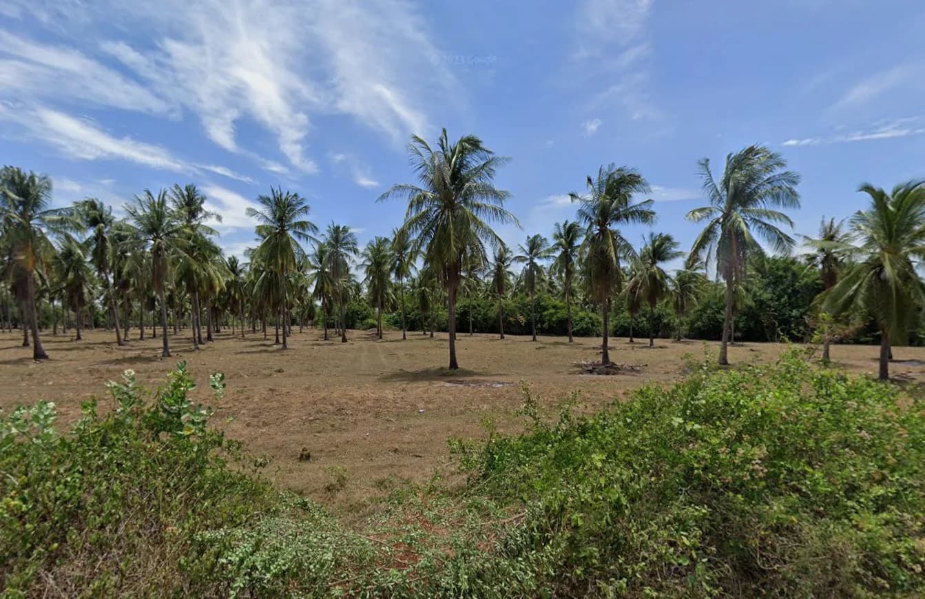 ขายที่ดินประจวบฯ 20 ไร่ 2 งาน 77 ตร.ว. ใกล้ถ้ำลับ หาดทุ่งน้อย และหาดน้ำมรกต 1