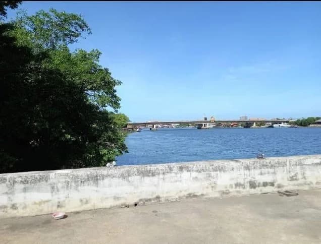 ขายที่ดินพร้อมสิ่งปลูกสร้าง 7 ไร่ 3 งาน 78 ตร.ว. ด้านหลังติดแม่น้ำเจ้าพระยา 4