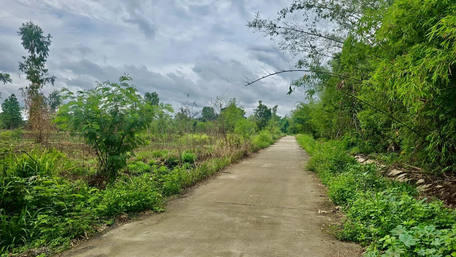 Land for sale in Lamphun, 19-0-6 rai, near Road No. 1184 and Pasang Vo 1