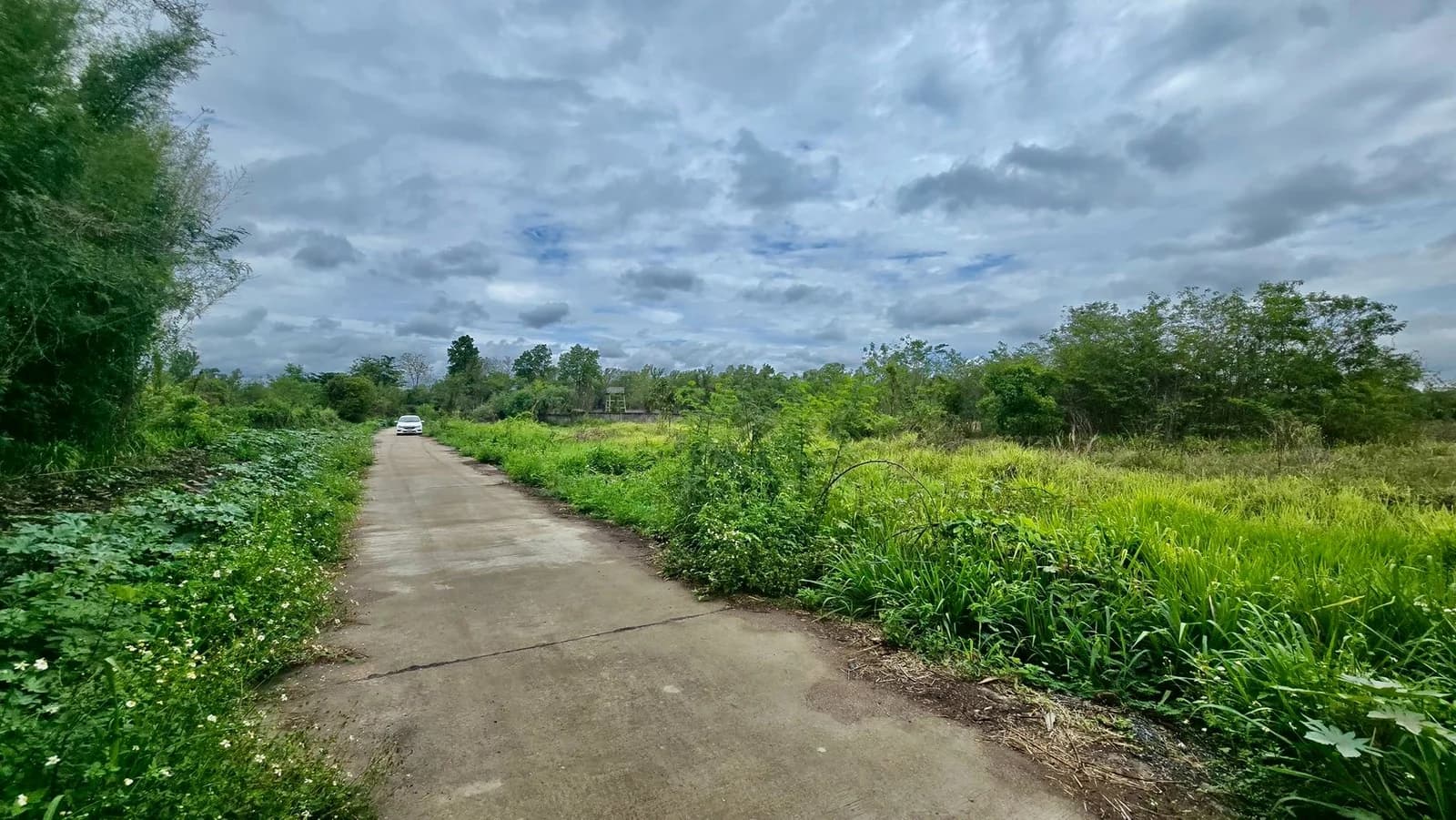 Land for sale in Lamphun, 19-0-6 rai, near Road No. 1184 and Pasang Vo 3