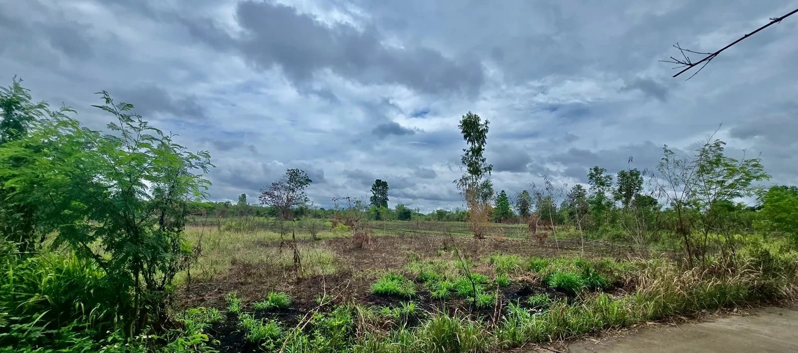 Land for sale in Lamphun, 19-0-6 rai, near Road No. 1184 and Pasang Vo 4