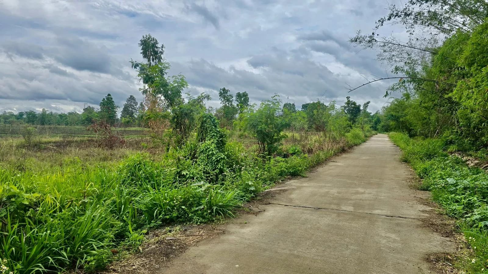 Land for sale in Lamphun, 19-0-6 rai, near Road No. 1184 and Pasang Vo 5