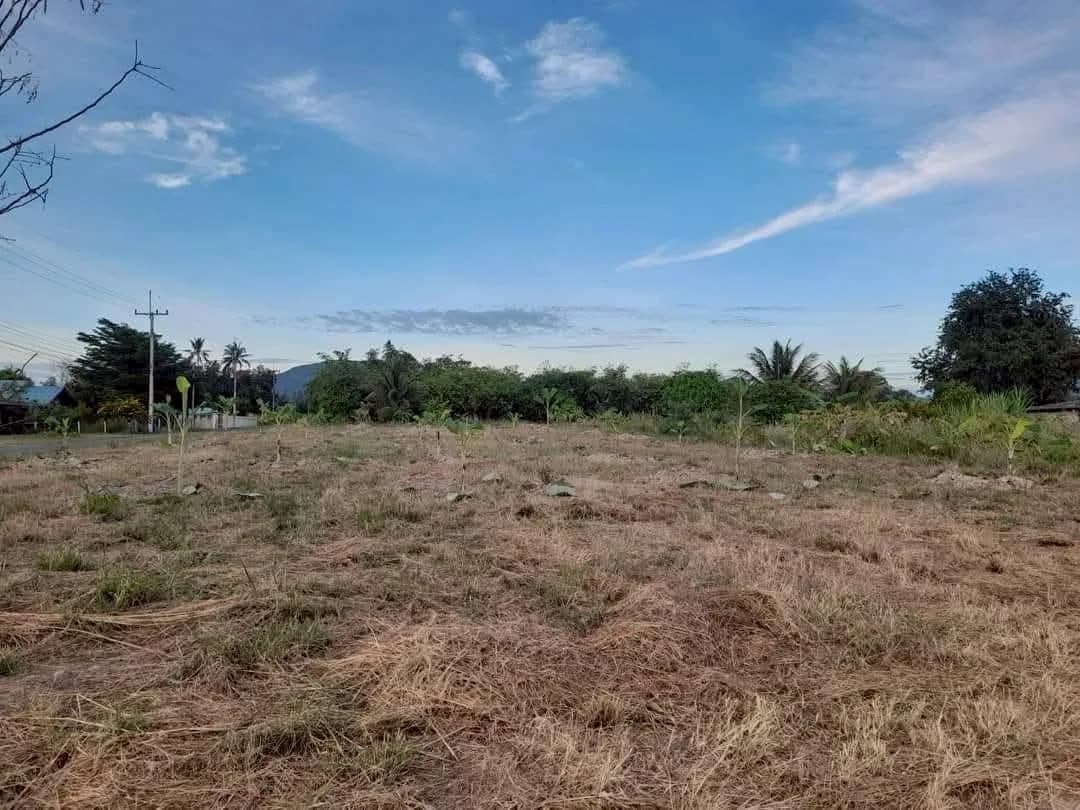 Land for Sale 1 Rai, Near Hua Hin International School and Hua Hin Art 2