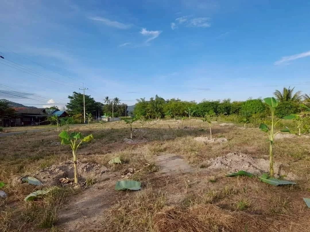 Land for Sale 1 Rai, Near Hua Hin International School and Hua Hin Art 3