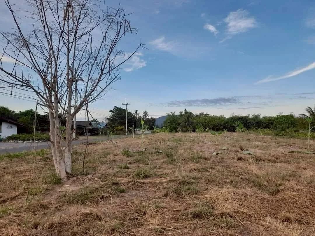 Land for Sale 1 Rai, Near Hua Hin International School and Hua Hin Art 4