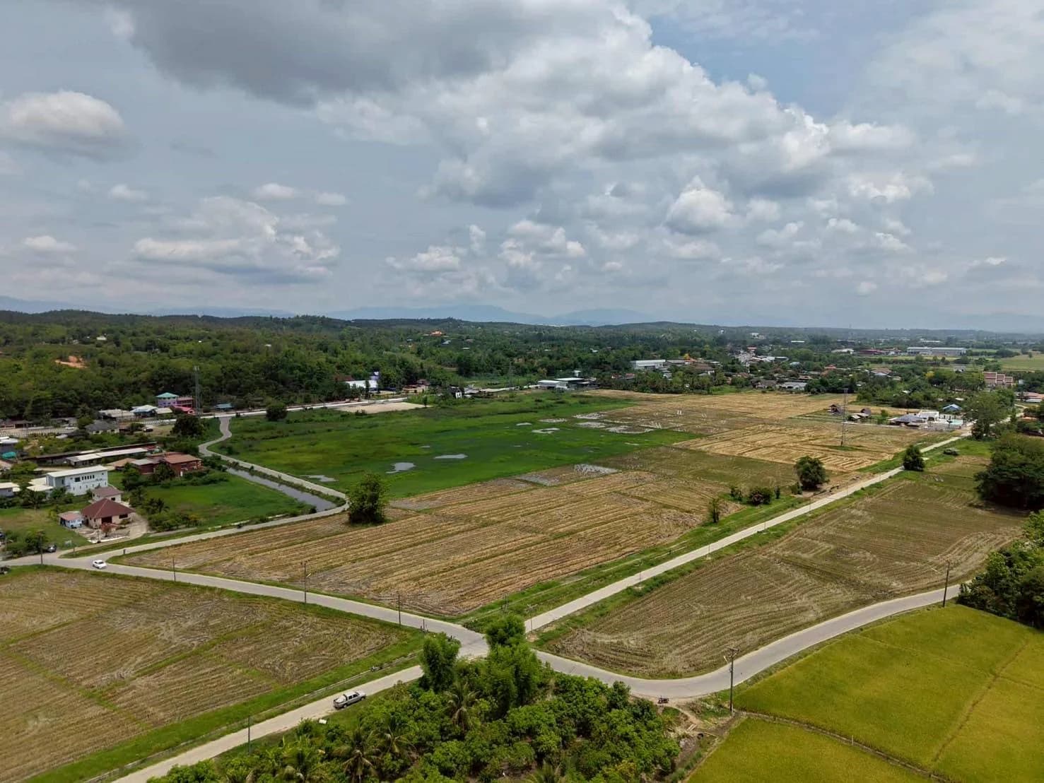 ขายที่ดินแม่ริม 67 ไร่ 0 งาน 79 ตร.ว. ใกล้ถนนโชตนา ตรงข้ามเทศบาลตำบลขี้เหล็ก 1
