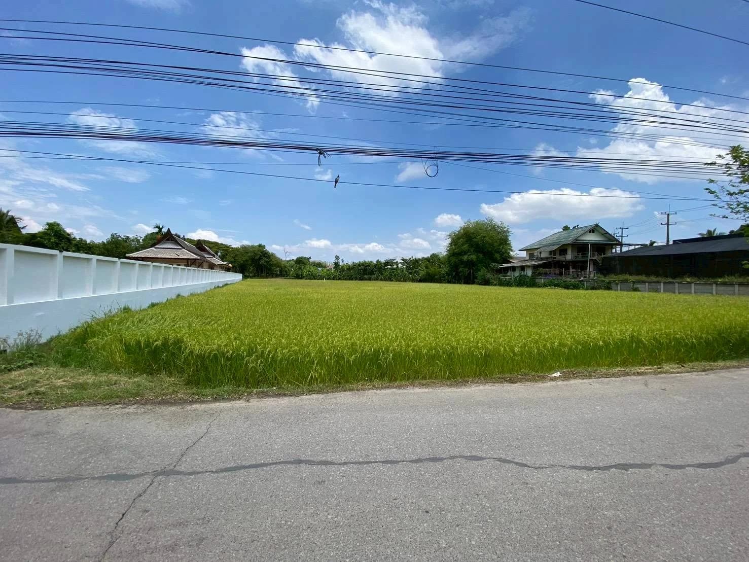 ขายที่ดินแม่ริมเชียงใหม่ 3-1-26 ไร่ ใกล้โรงเรียนนานาชาติเปรม ติณสูลานนท์ 1