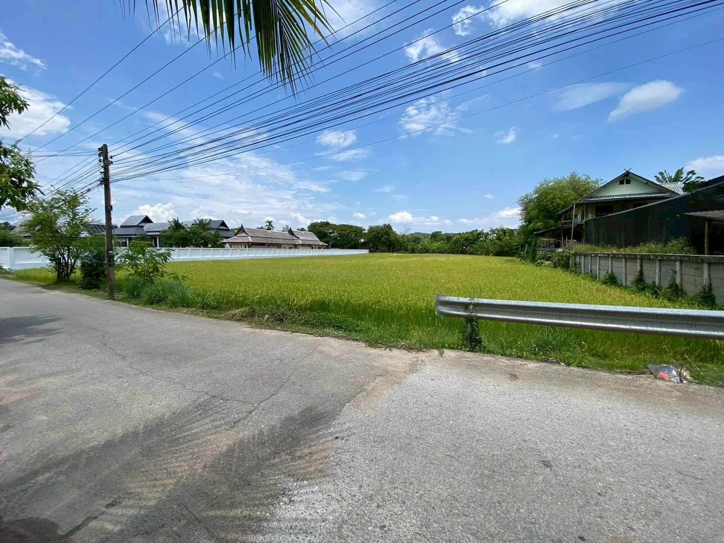 ขายที่ดินแม่ริมเชียงใหม่ 3-1-26 ไร่ ใกล้โรงเรียนนานาชาติเปรม ติณสูลานนท์ 3
