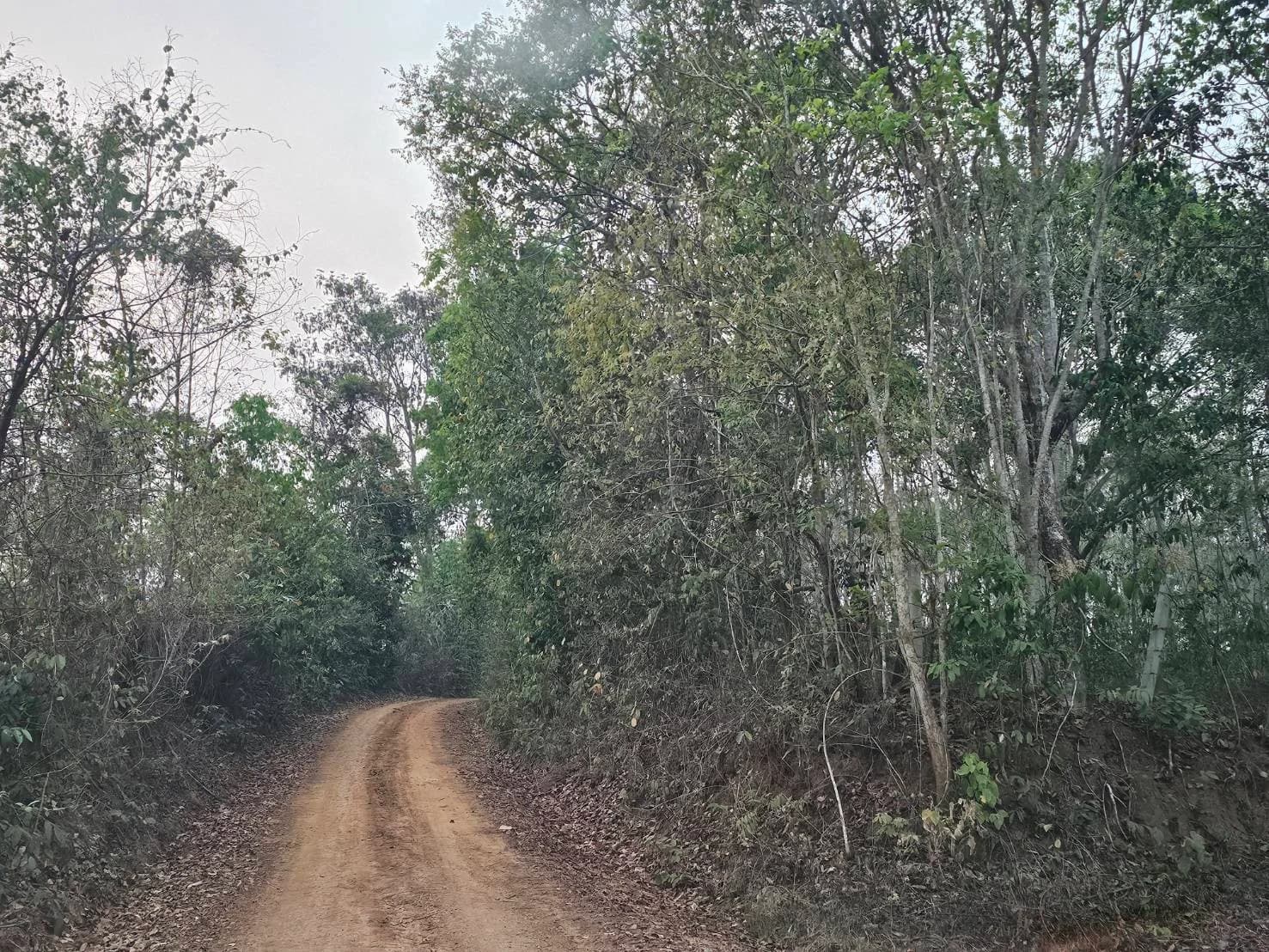 Land for Sale in Chiang Rai, Area 76 Rai 0 Ngan 70 Sq.Wah, Near Ban Lo 1