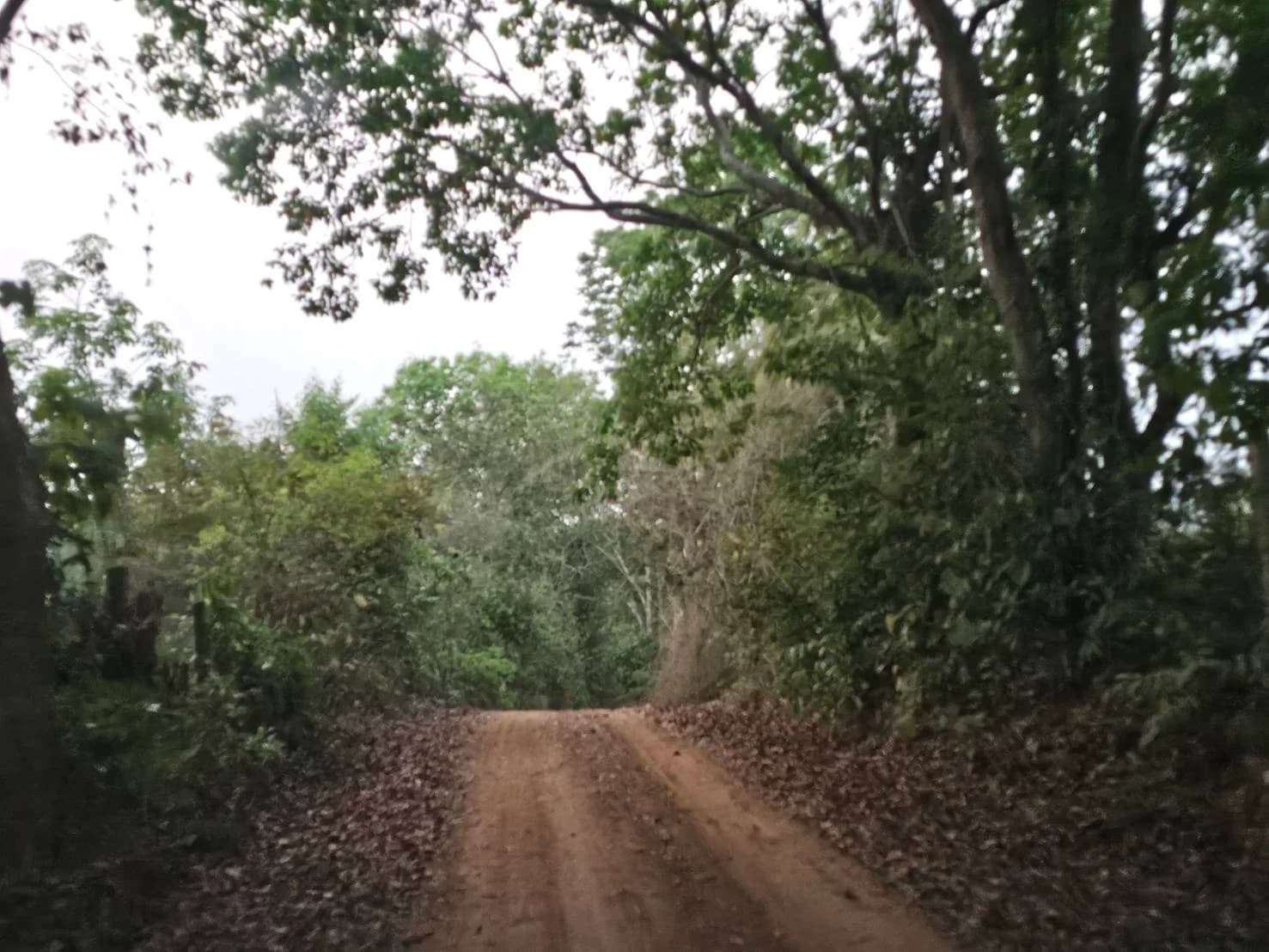 Land for Sale in Chiang Rai, Area 76 Rai 0 Ngan 70 Sq.Wah, Near Ban Lo 2