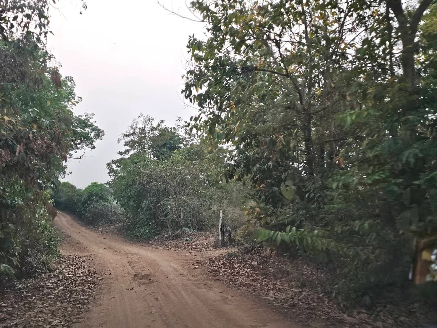 Land for Sale in Chiang Rai, Area 76 Rai 0 Ngan 70 Sq.Wah, Near Ban Lo 3