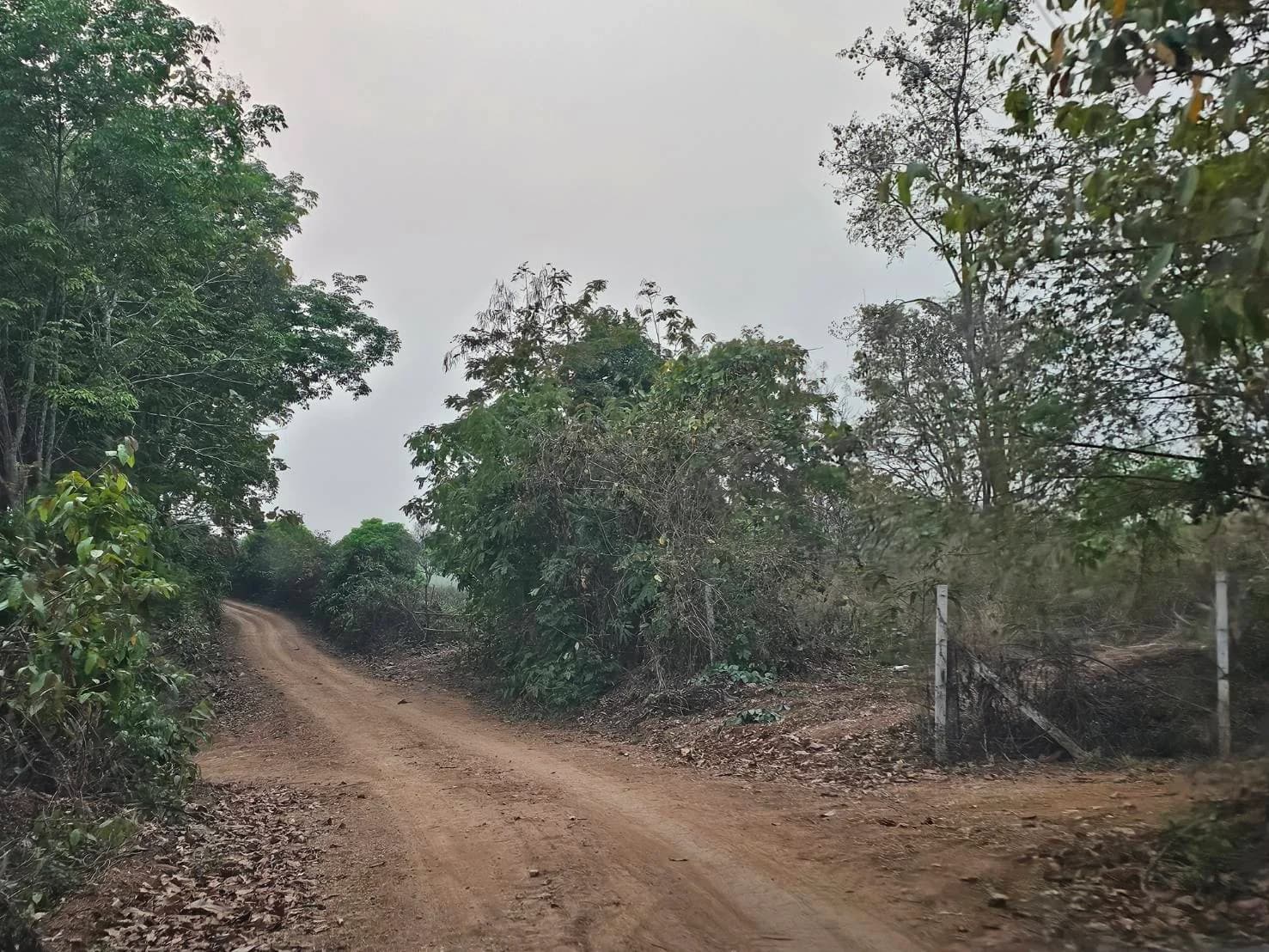 Land for Sale in Chiang Rai, Area 76 Rai 0 Ngan 70 Sq.Wah, Near Ban Lo 5