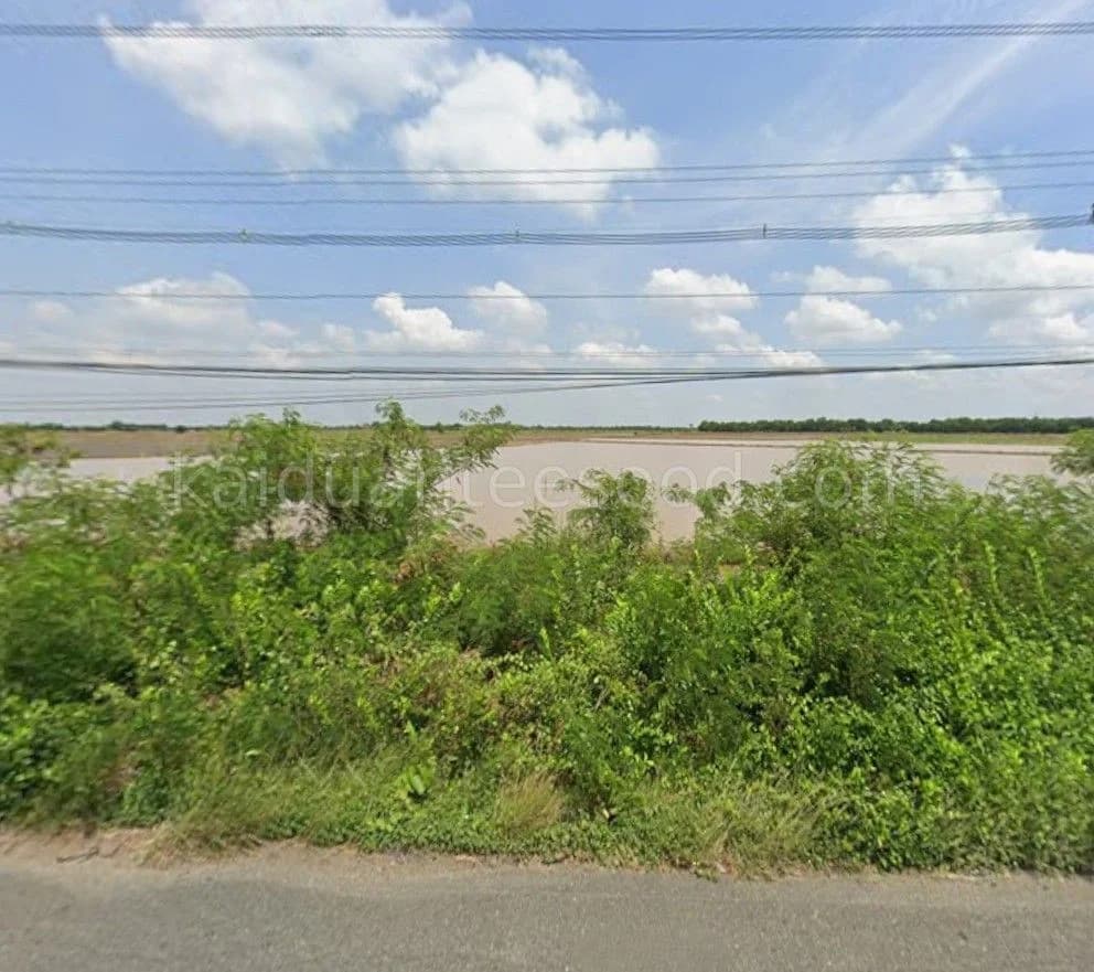 ขายที่ดิน 56-2-29.8 ไร่ ถนนฉะเชิงเทรา-กบินทร์บุรี ใกล้สถานีอนามัยบ้านปลายกระจับ 1