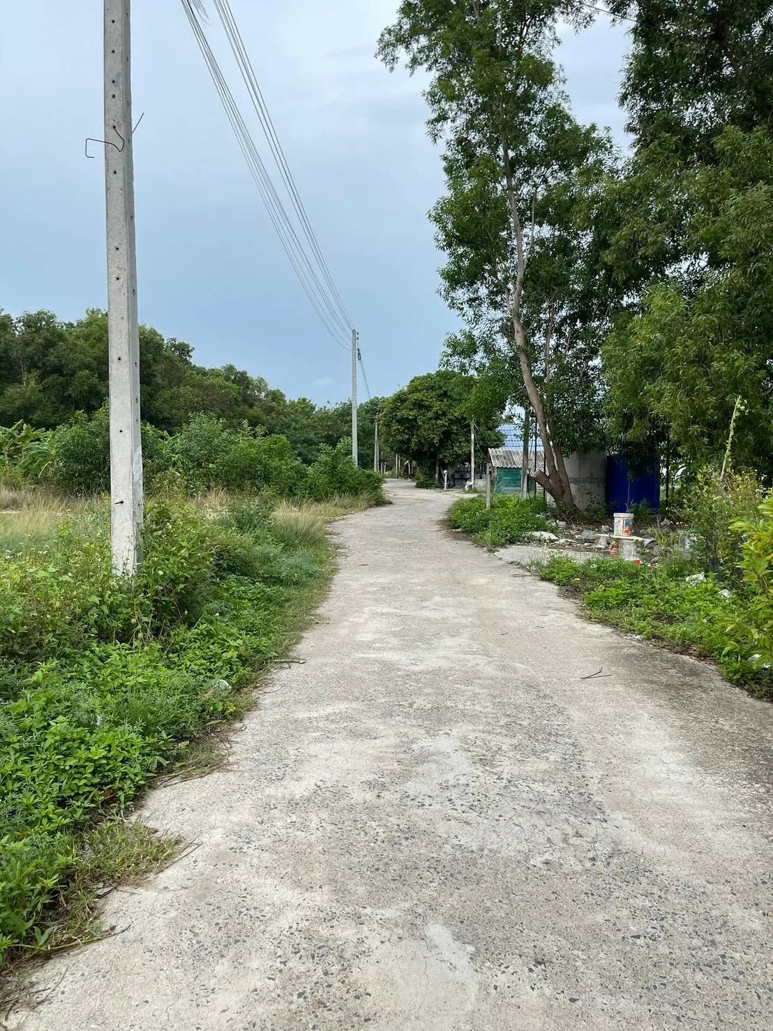 Land for Sale in Surat Thani  29 Rai 3 Ngan 57 Sq.Wah, Near Highway 42 2