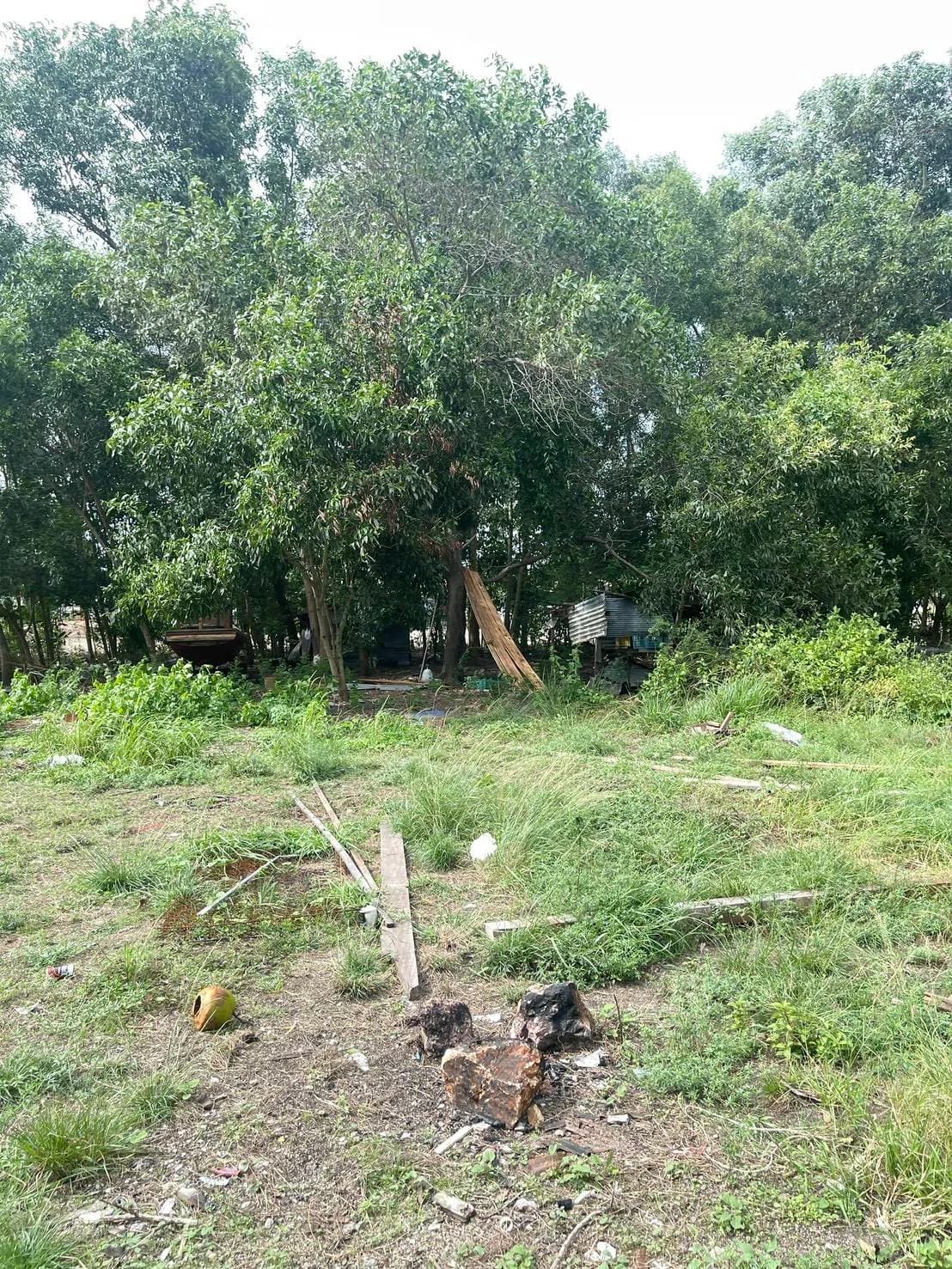 Land for Sale in Surat Thani  29 Rai 3 Ngan 57 Sq.Wah, Near Highway 42 5
