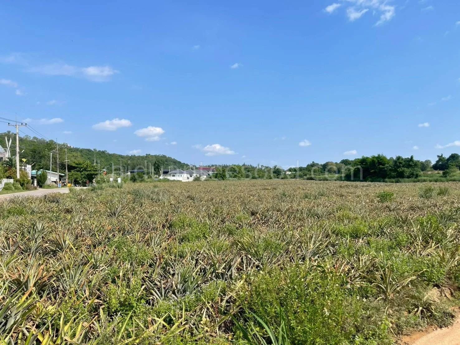 Land for Sale in Bo Win, 26 Rai 2 Ngan 77.9 Sq.Wah, Huai Hian Alley, Near Robinson Bo Win 1