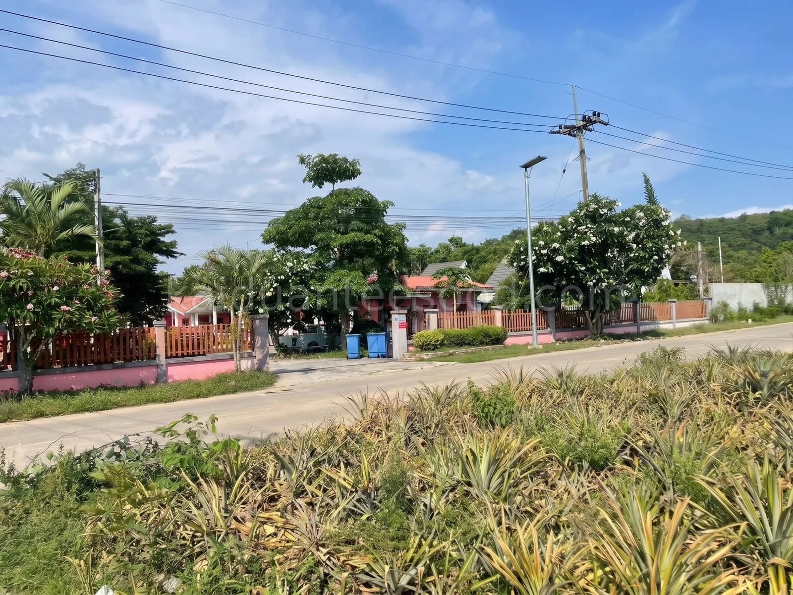 Land for Sale in Bo Win, 26 Rai 2 Ngan 77.9 Sq.Wah, Huai Hian Alley, Near Robinson Bo Win 4
