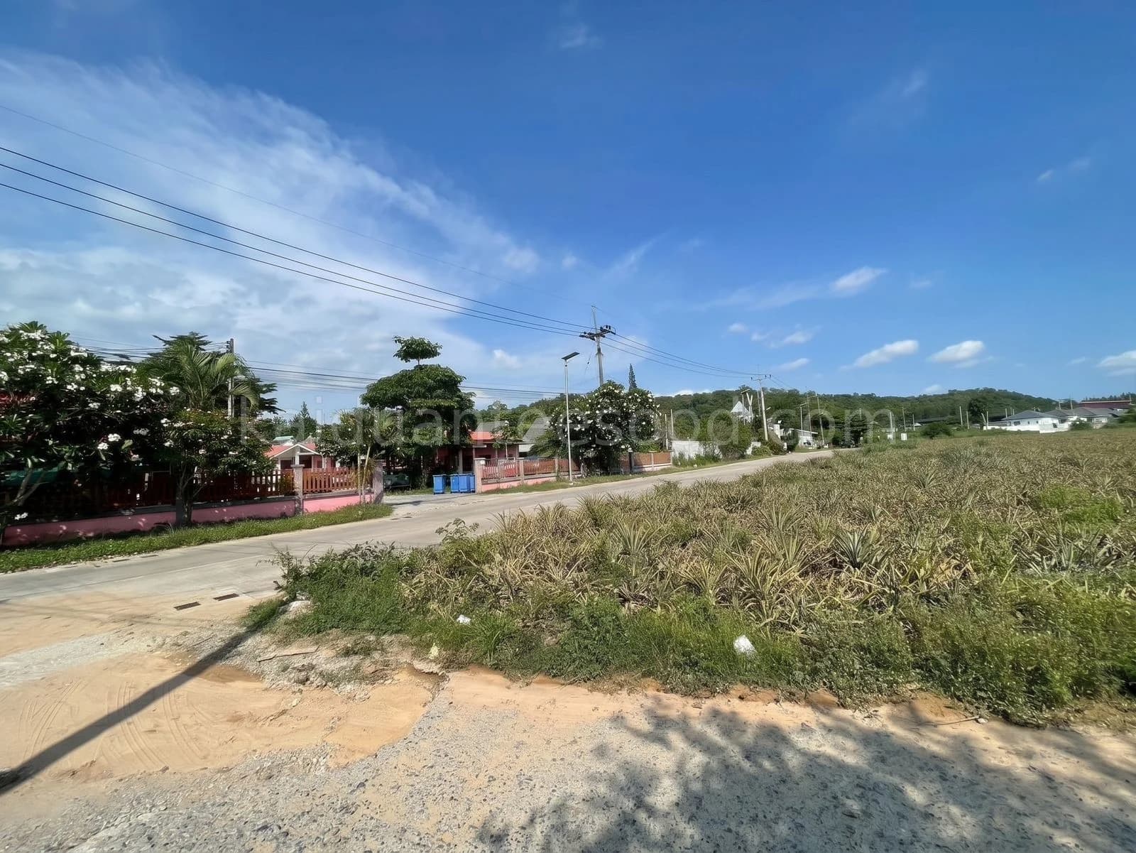 Land for Sale in Bo Win, 26 Rai 2 Ngan 77.9 Sq.Wah, Huai Hian Alley, Near Robinson Bo Win 5