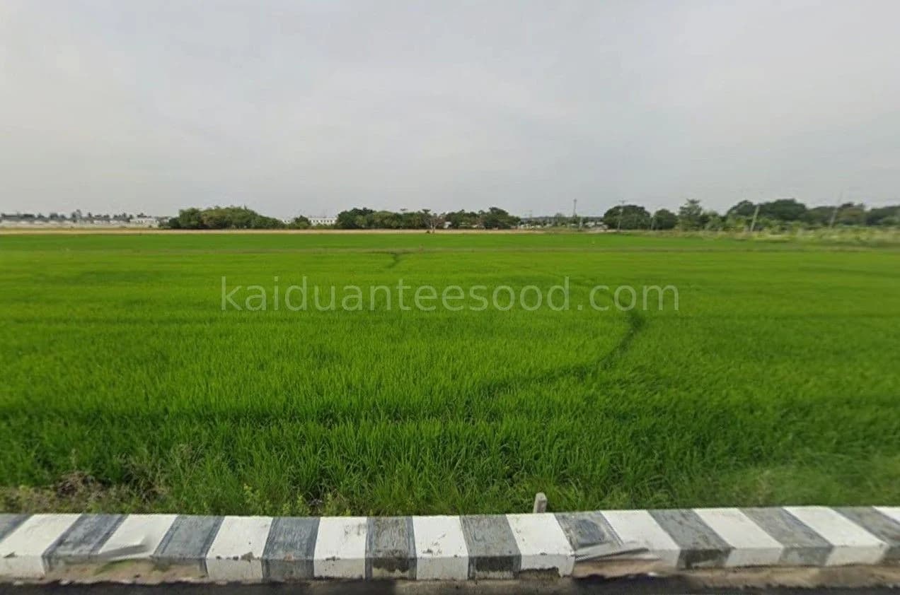 ขายที่ดินลำลูกกา เนื้อที่ 1 ไร่ 0 งาน 22.9 ตร.ว. ใกล้มหาวิทยาลัยอีสเทิร์นเอเชีย 1
