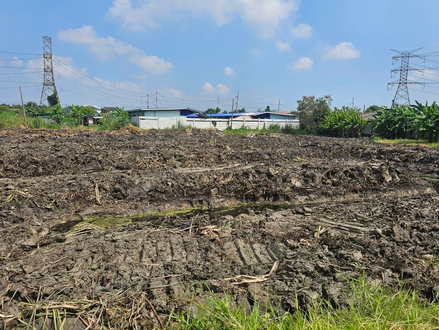 Land For Sale ประเวศ, ประเวศ, bangkok — photo 1