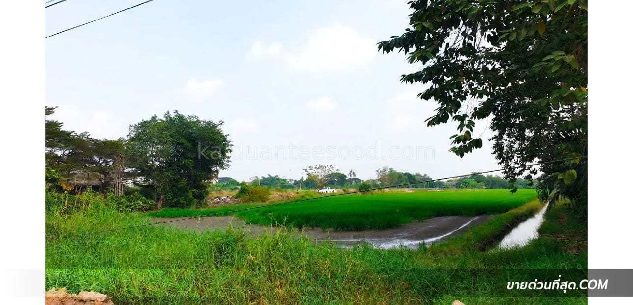 Land For Sale บึงคำพร้อย, ลำลูกกา, ปทุมธานี — photo 1