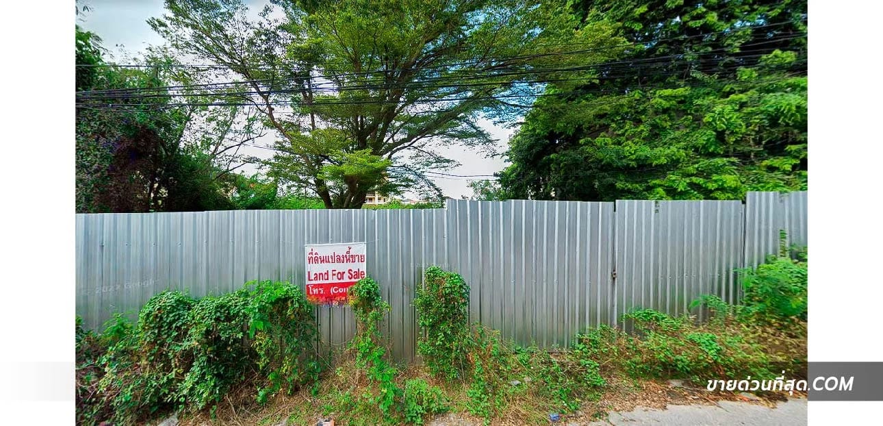 ที่ดินขาย หนองปรือ บางละมุง ชลบุรี — รูปที่ 1