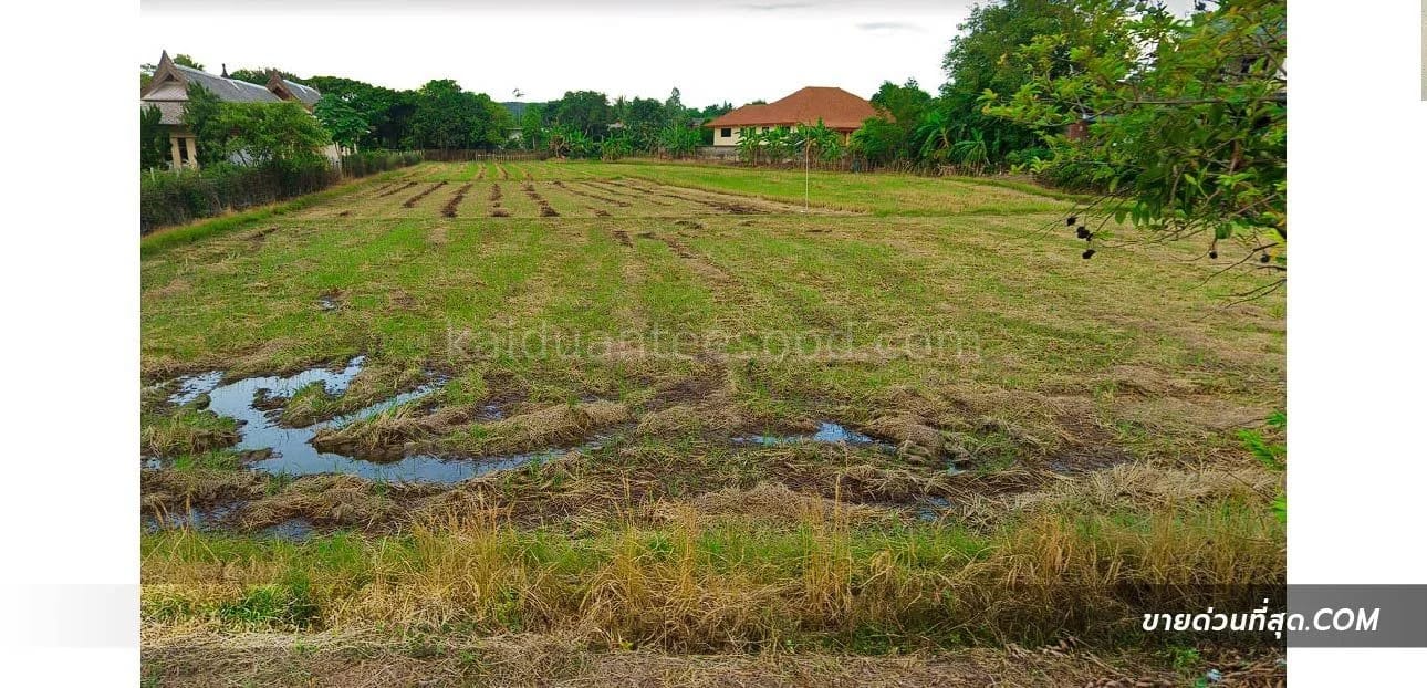 Land For Sale ห้วยทราย, แม่ริม, เชียงใหม่ — photo 1