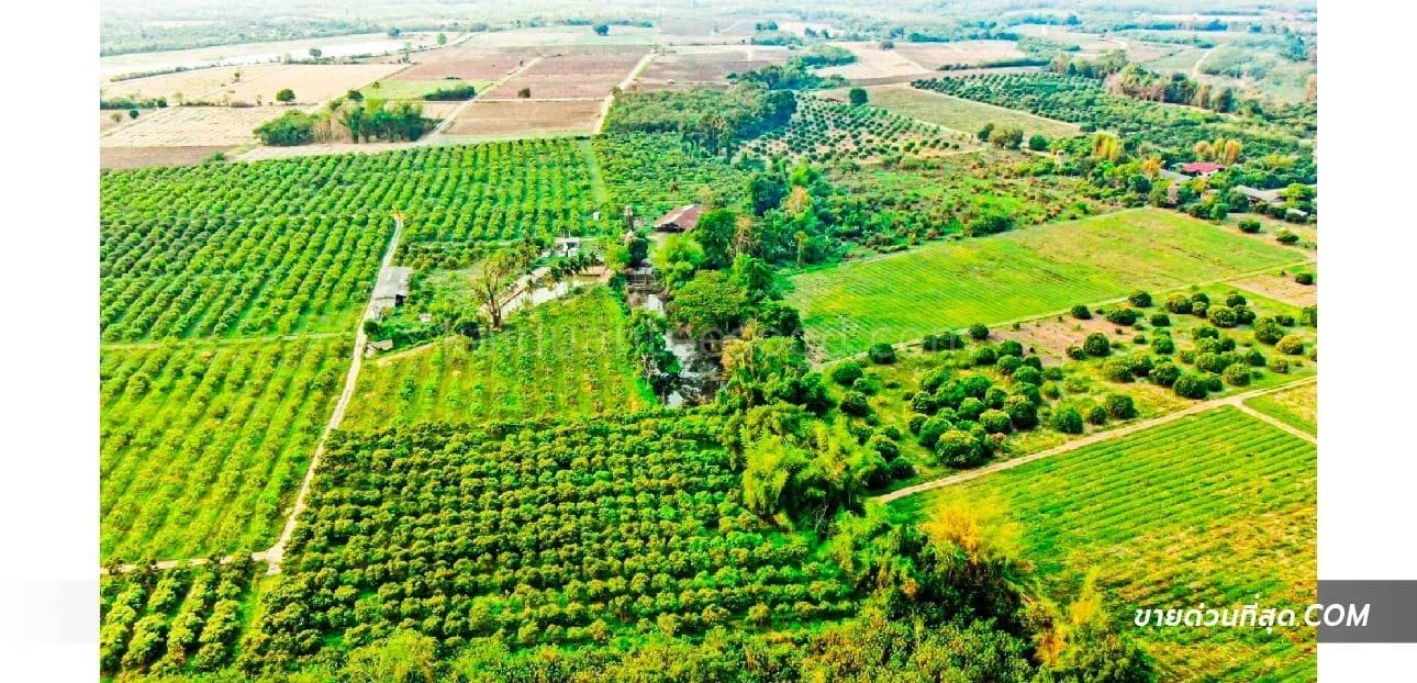 ที่ดินขาย นครเจดีย์ ป่าซาง ลำพูน — รูปที่ 1