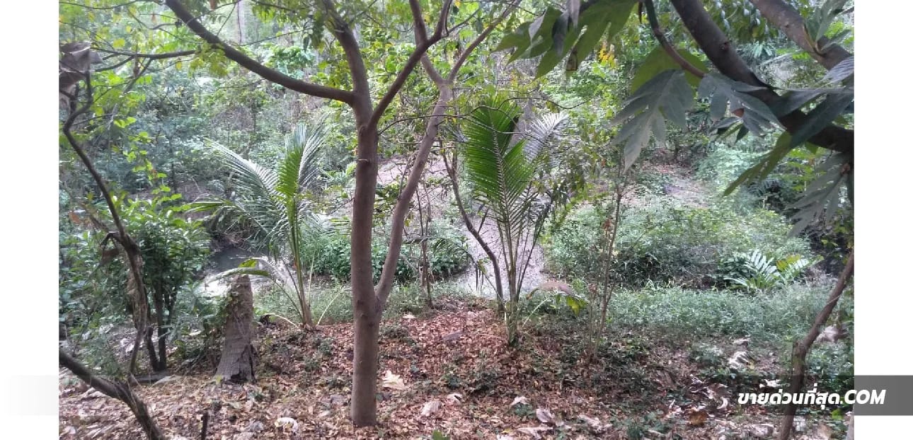 Land For Sale บางน้ำผึ้ง, พระประแดง, สมุทรปราการ — photo 1