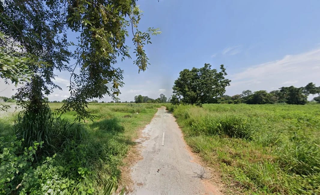 ที่ดินขาย ขามทะเลสอ ขามทะเลสอ นครราชสีมา — รูปที่ 1