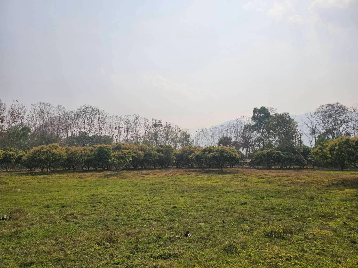 Land For Sale เมืองงาย, เชียงดาว, เชียงใหม่ — photo 1