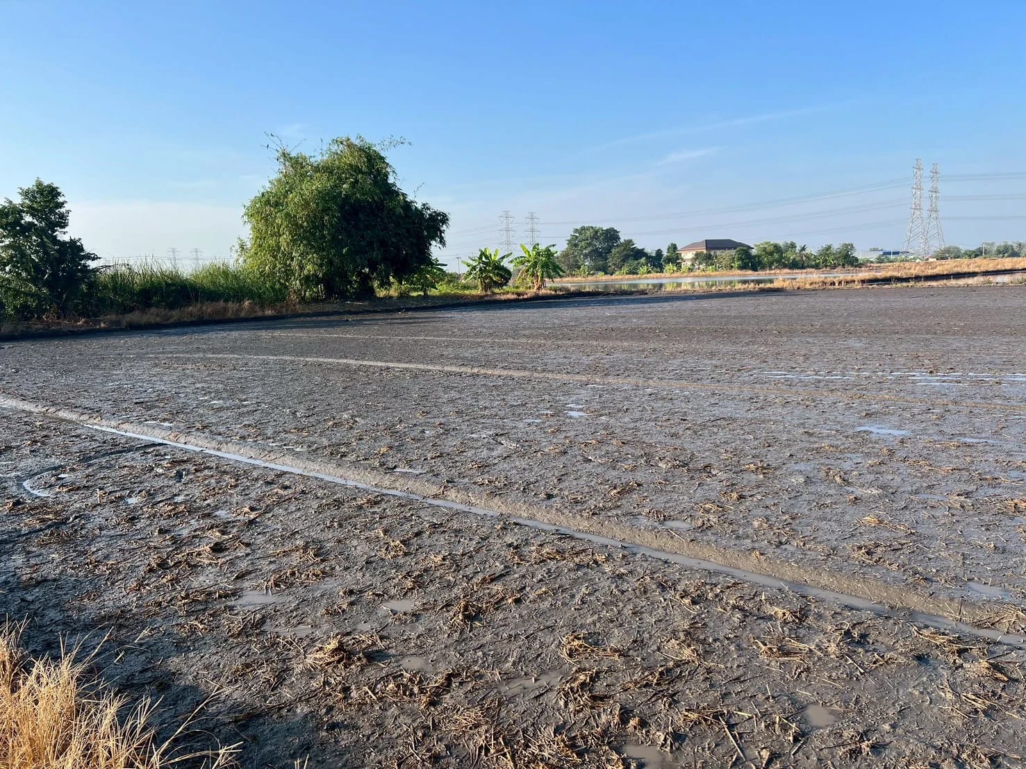 Land For Sale สามวาตะวันออก, คลองสามวา, กรุงเทพมหานคร — photo 1