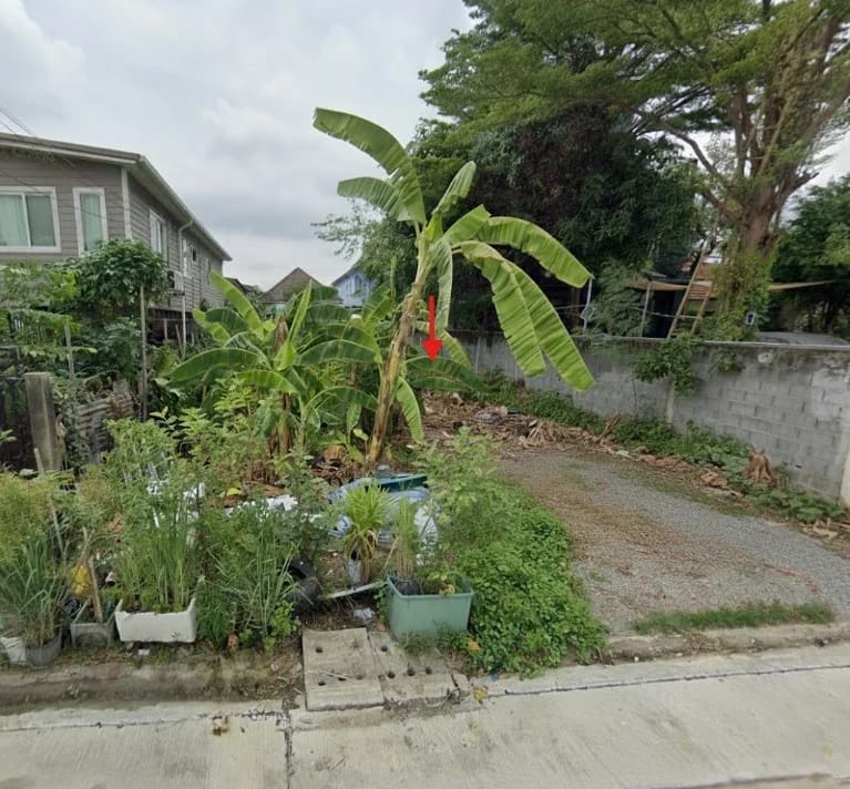Land For Sale บางไผ่, บางแค, กรุงเทพมหานคร — photo 1