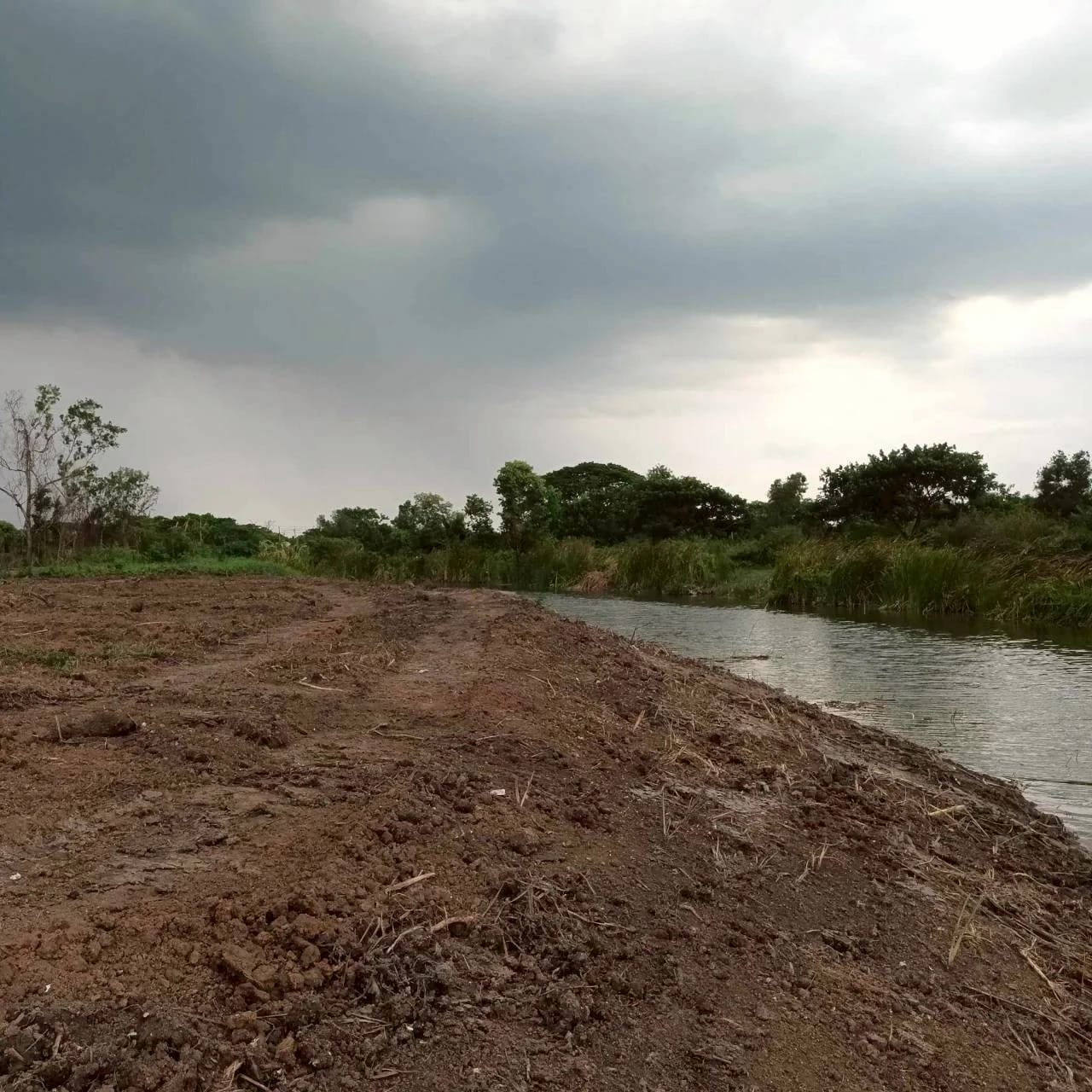 Land For Sale สามวาตะวันออก, คลองสามวา, กรุงเทพมหานคร — photo 1