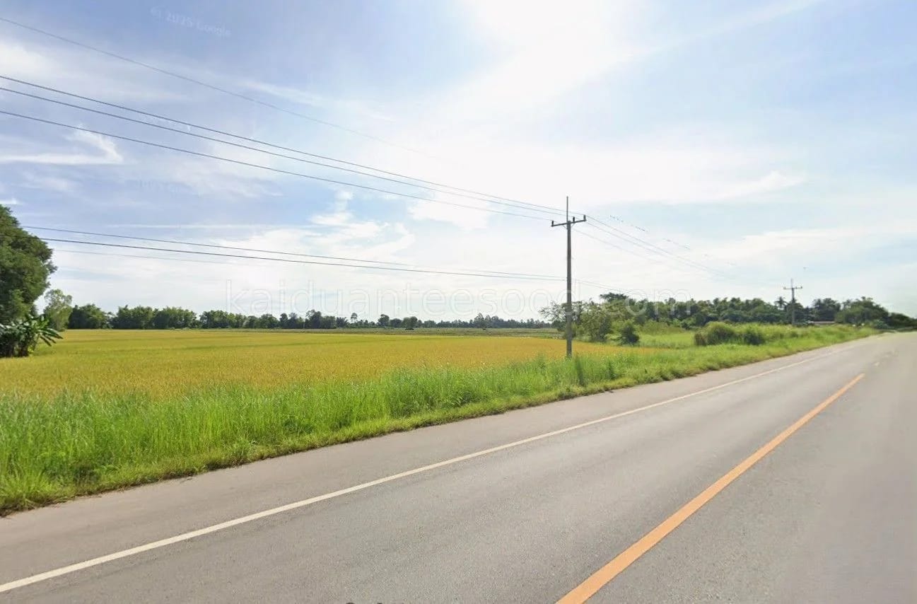 ที่ดินขาย วังซ่าน แม่วงก์ นครสวรรค์ — รูปที่ 1
