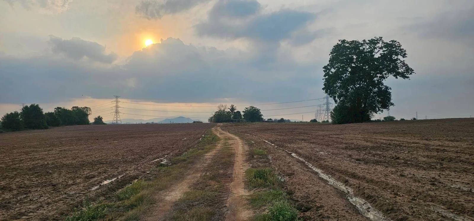ที่ดินขาย หนองเสือช้าง หนองใหญ่ ชลบุรี — รูปที่ 1