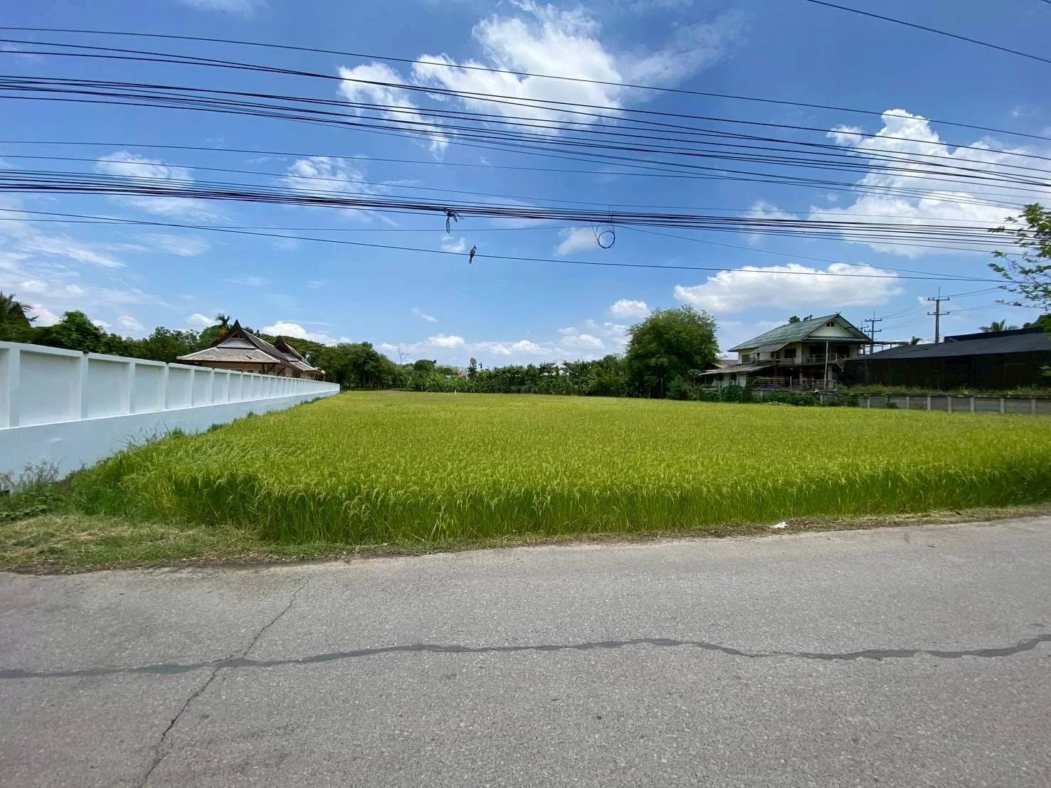 ที่ดินขาย แม่ริม ห้วยทราย เชียงใหม่ — รูปที่ 1