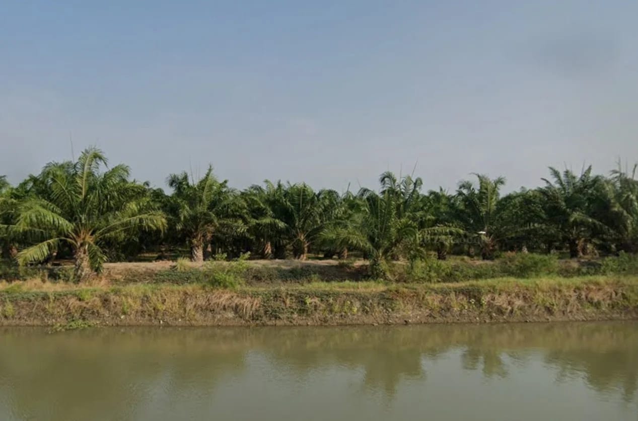 Land For Sale บางหลวง, บางเลน, นครปฐม — photo 1