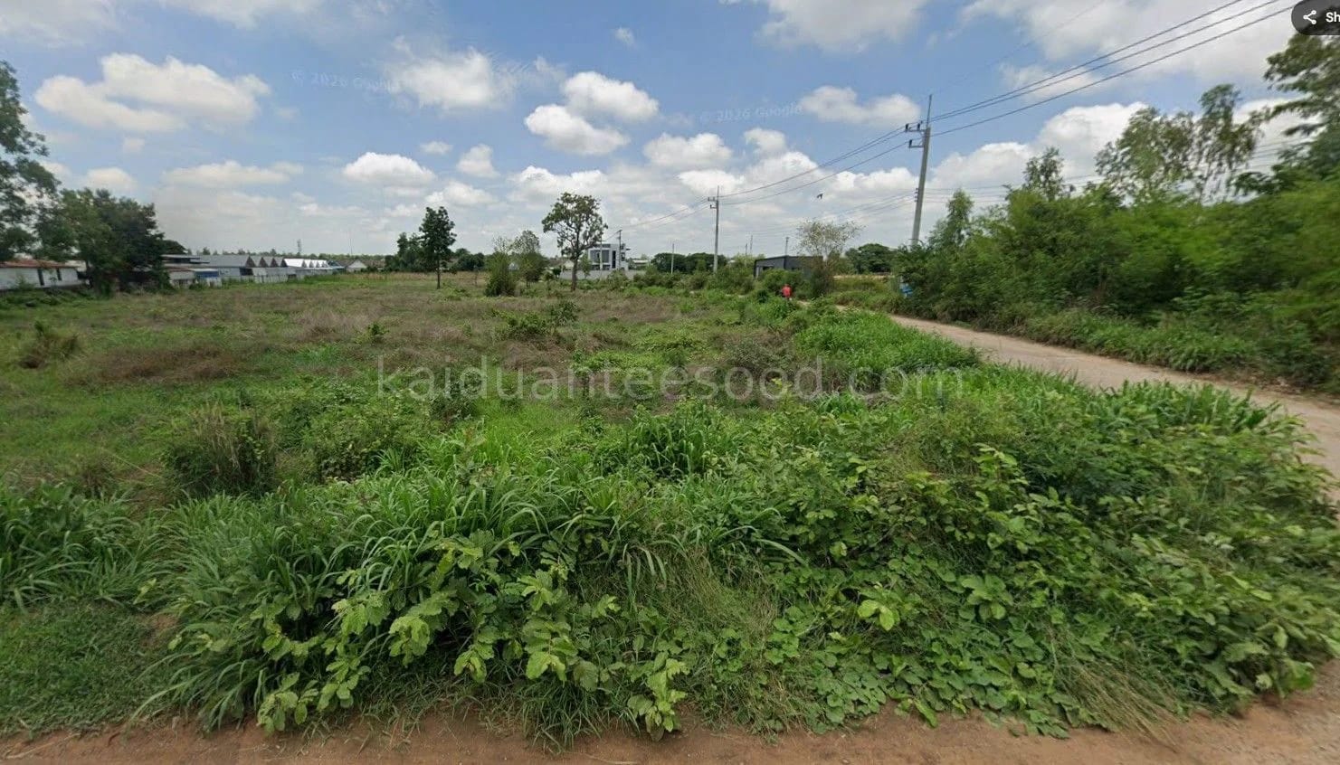 ที่ดินขาย บ้านเป็ด เมืองขอนแก่น ขอนแก่น — รูปที่ 1