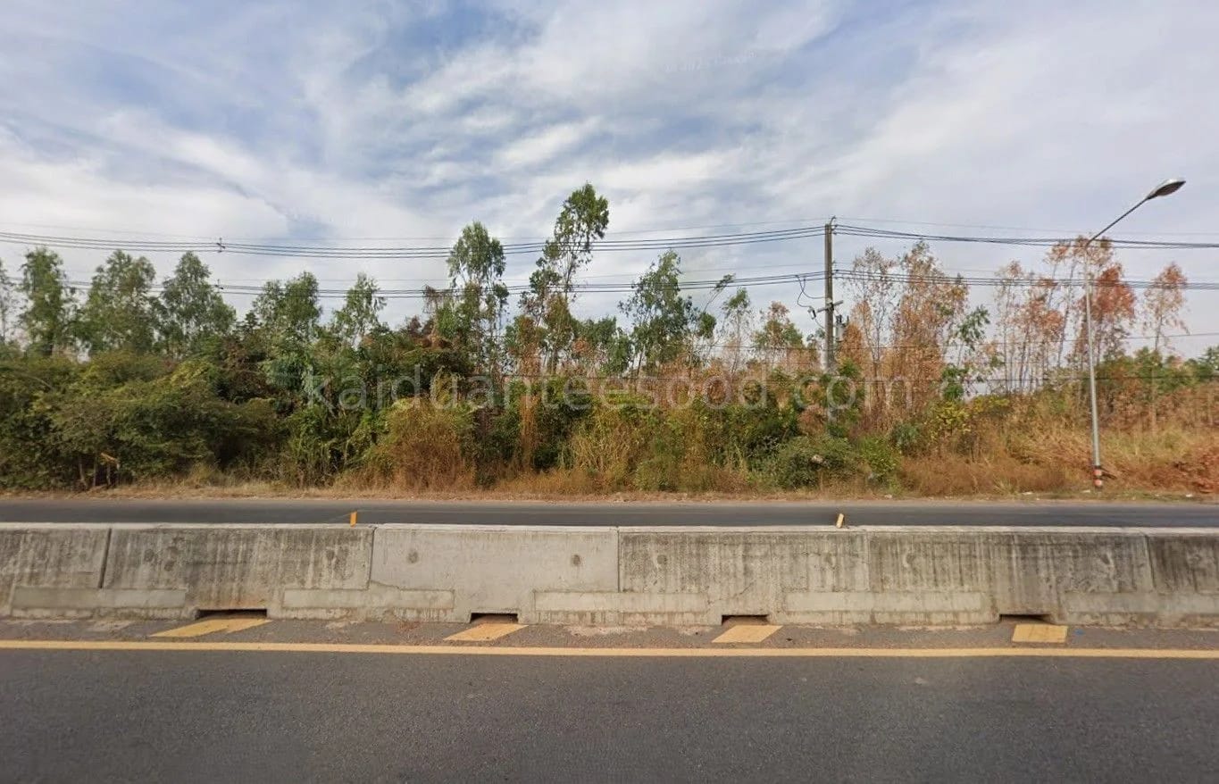 ที่ดินขาย บ้านหว้า เมืองขอนแก่น ขอนแก่น — รูปที่ 1