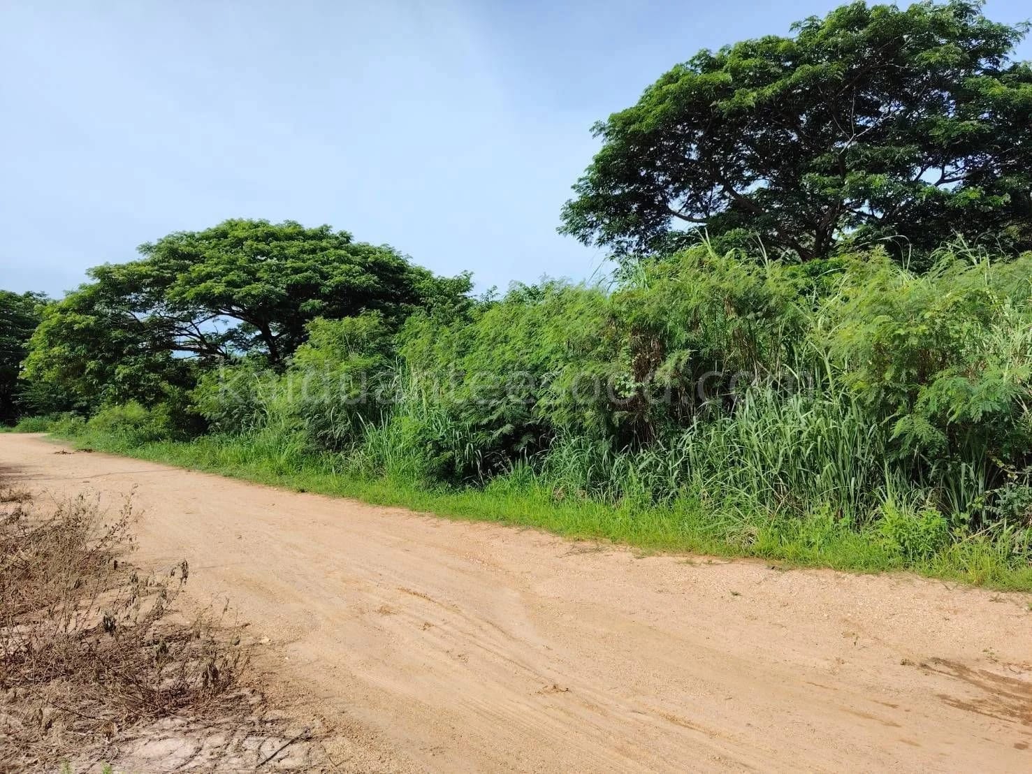 ที่ดินขาย หินเหล็กไฟ หัวหิน ประจวบคีรีขันธ์ — รูปที่ 1