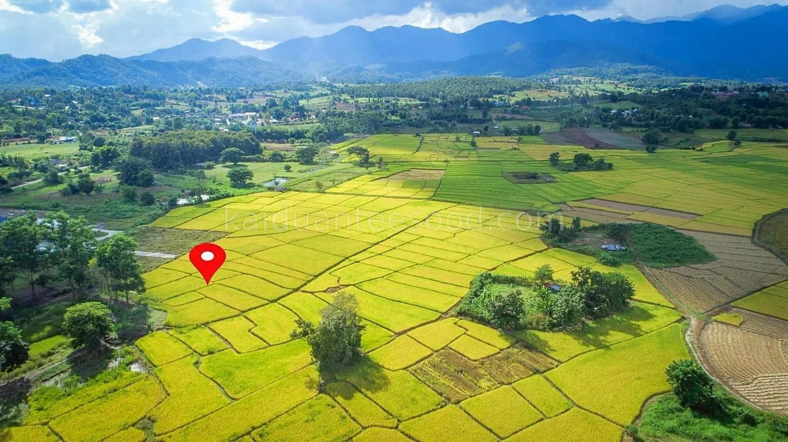 ที่ดินขาย ทุ่งยาว ปาย แม่ฮ่องสอน — รูปที่ 1