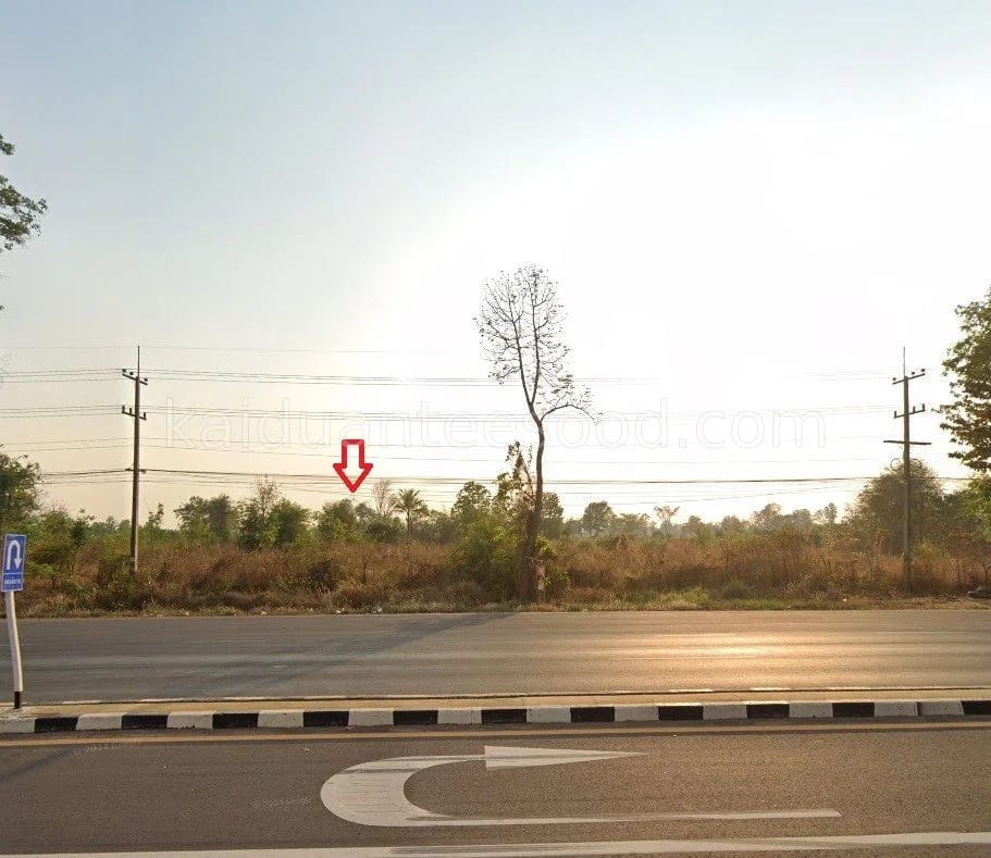 ที่ดินขาย กระแชง กันทรลักษ์ ศรีสะเกษ — รูปที่ 1