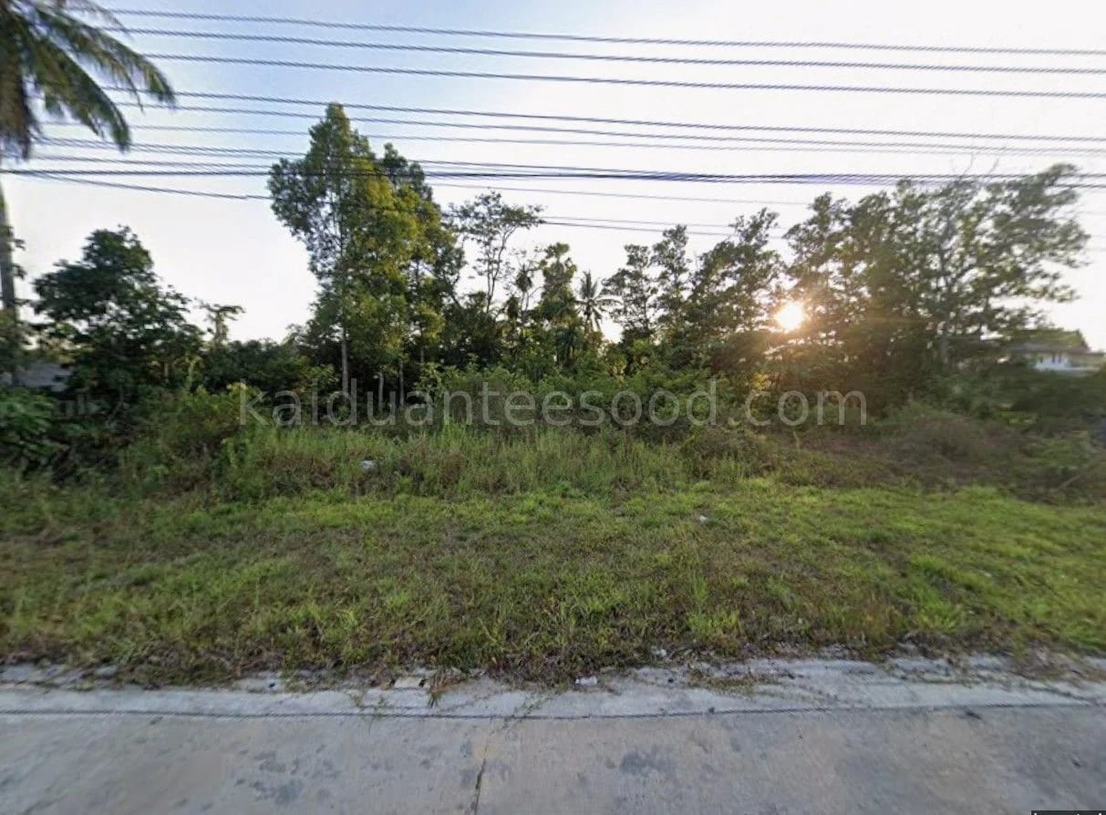 ที่ดินขาย ท่าข้าม หาดใหญ่ สงขลา — รูปที่ 1