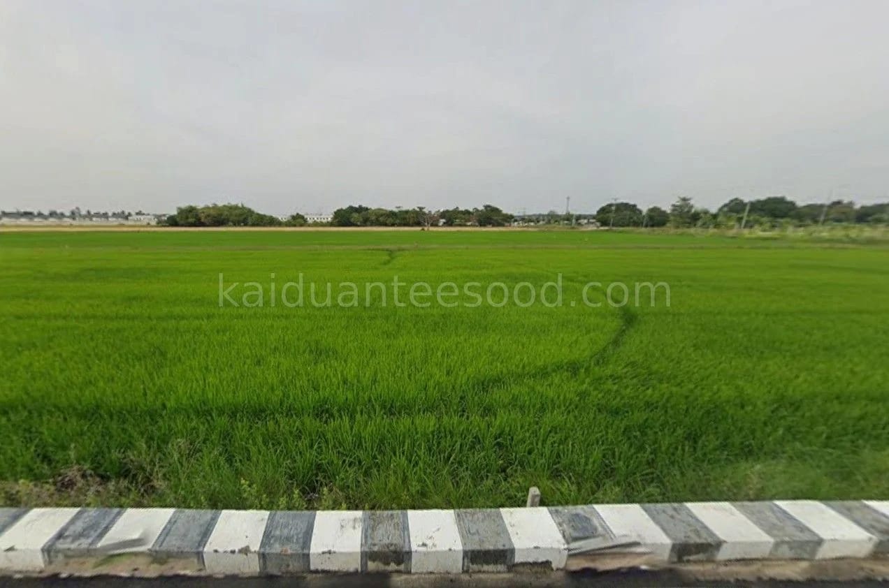 ที่ดินขาย บึงคำพร้อย ลำลูกกา ปทุมธานี — รูปที่ 1